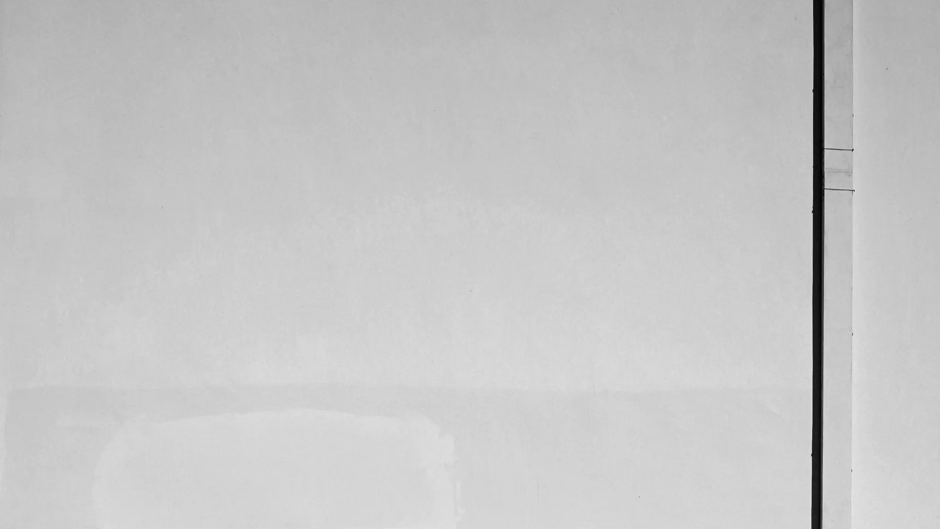 Monthly Legal & Regulatory Review — February 2026
